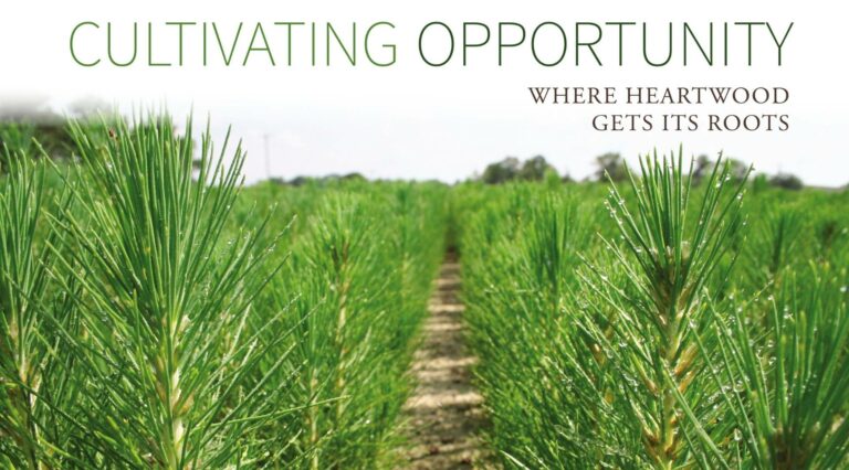 Cultivating Opportunity Where Heartwood Gets Its Roots