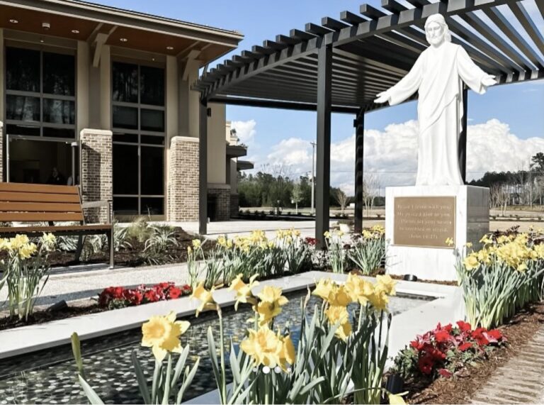 St. Joseph’s Candler Heartwood Medical Campus