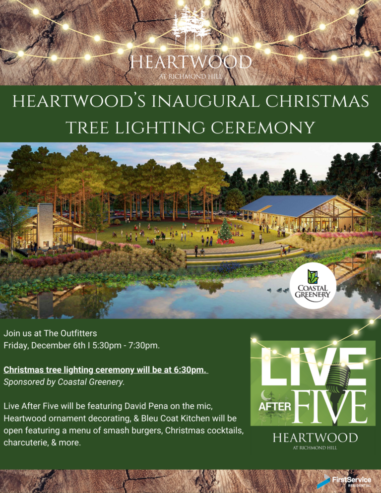 Christmas Tree Lighting