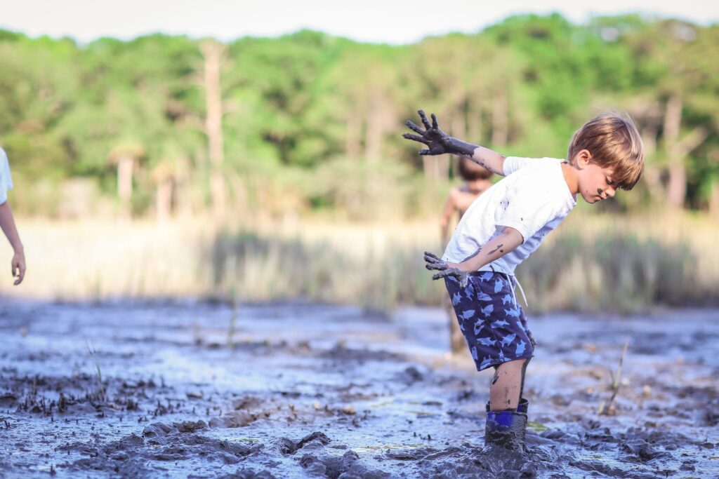 Lowcountry landscape