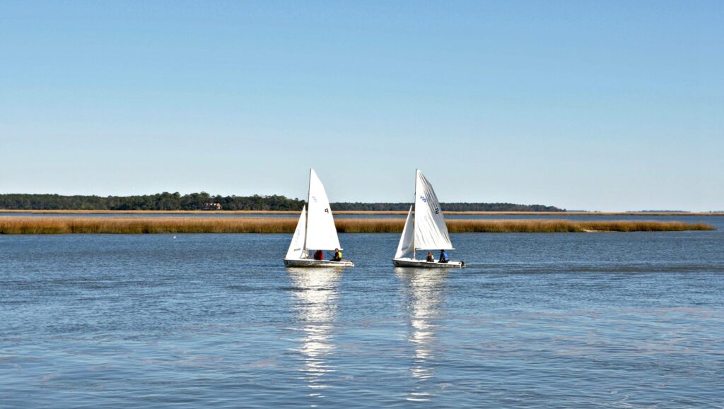Lowcountry landscape