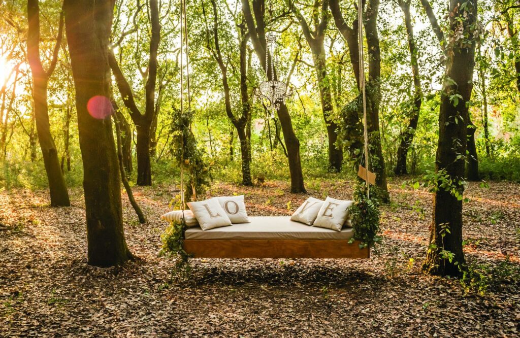 Heartwood photo