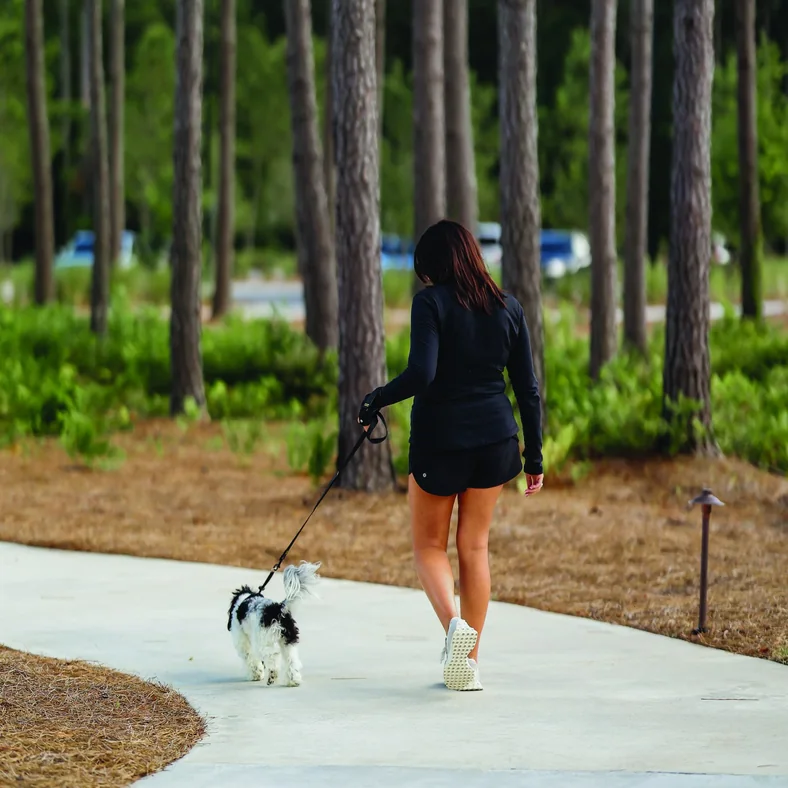 A resident walking her dog on a path through the pines